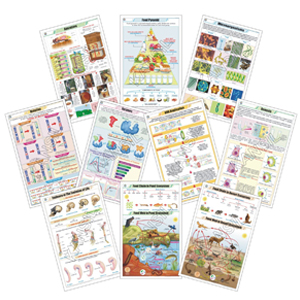 Science Chart.pdf Naturos Scientific Co. | A house of Scientific Dealers